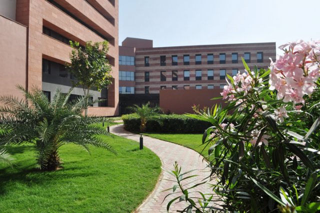11tcs_gandhinagar_09