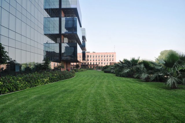 11tcs_gandhinagar_15