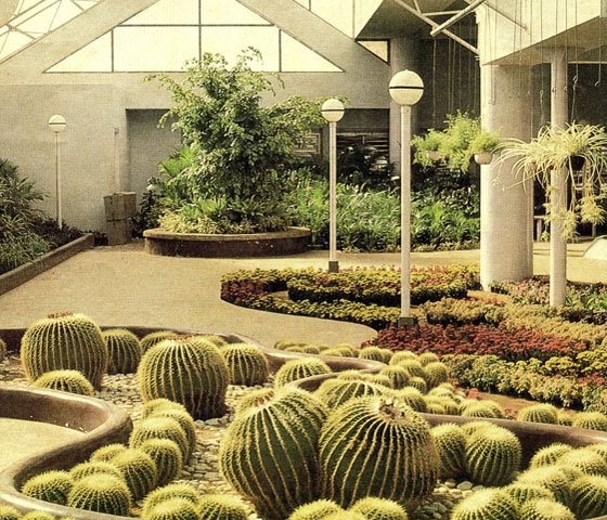 22indoamhybridseeds_bengaluru_05